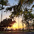 Hawaii sunshine