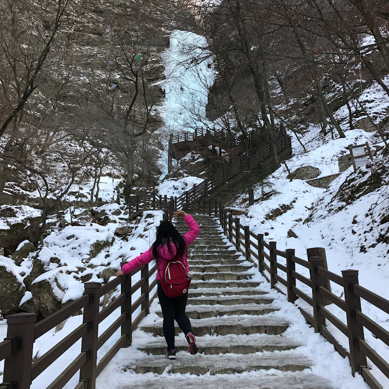 windko0813 - 網紅的藏寶箱 