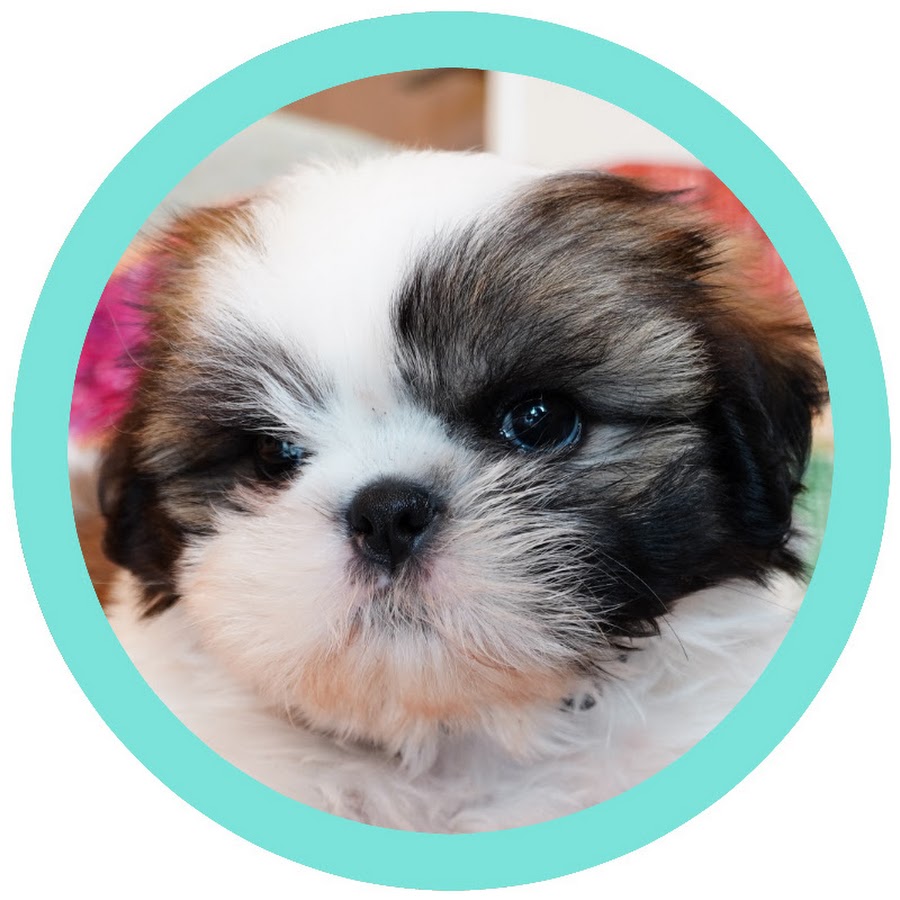 Mint Green Diary Youtube