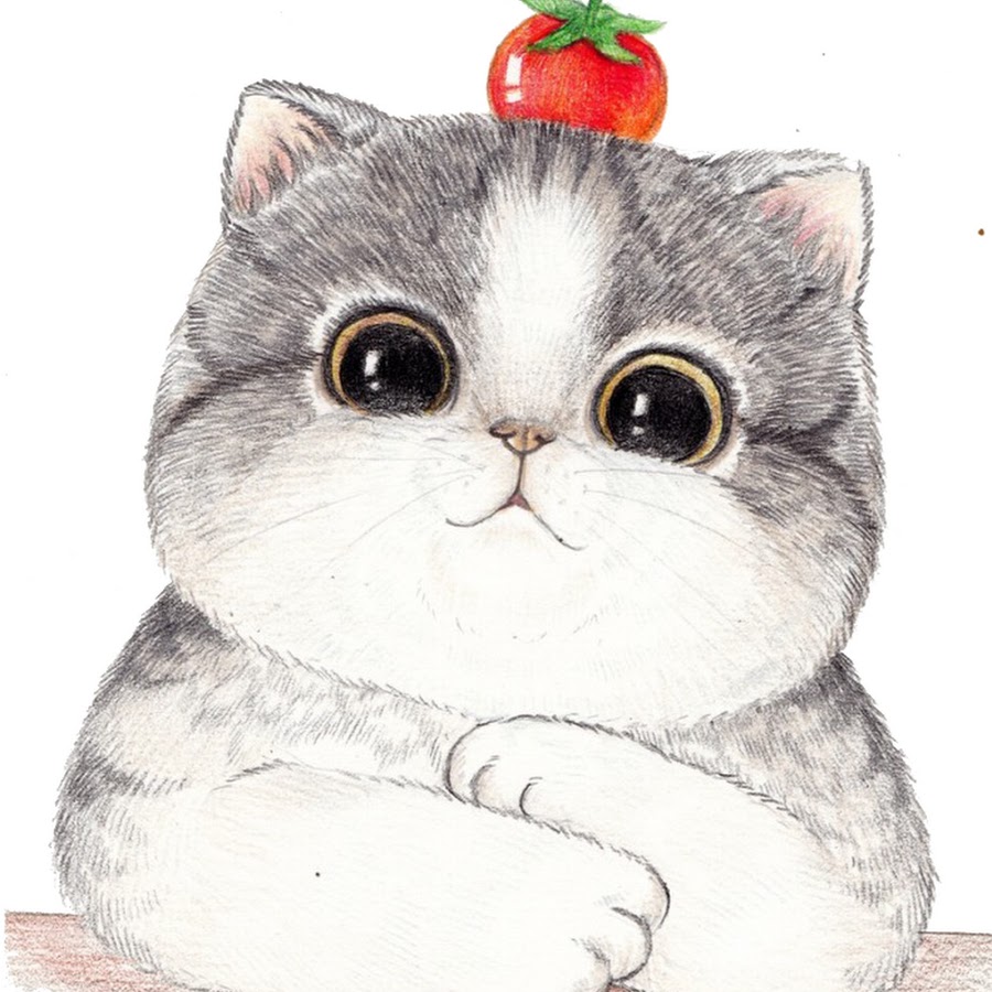 Животные рисунки легко кот