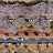 박사로또