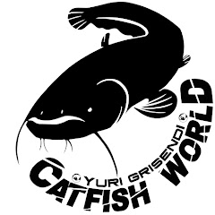 Catfish World by Yuri Grisendi net worth