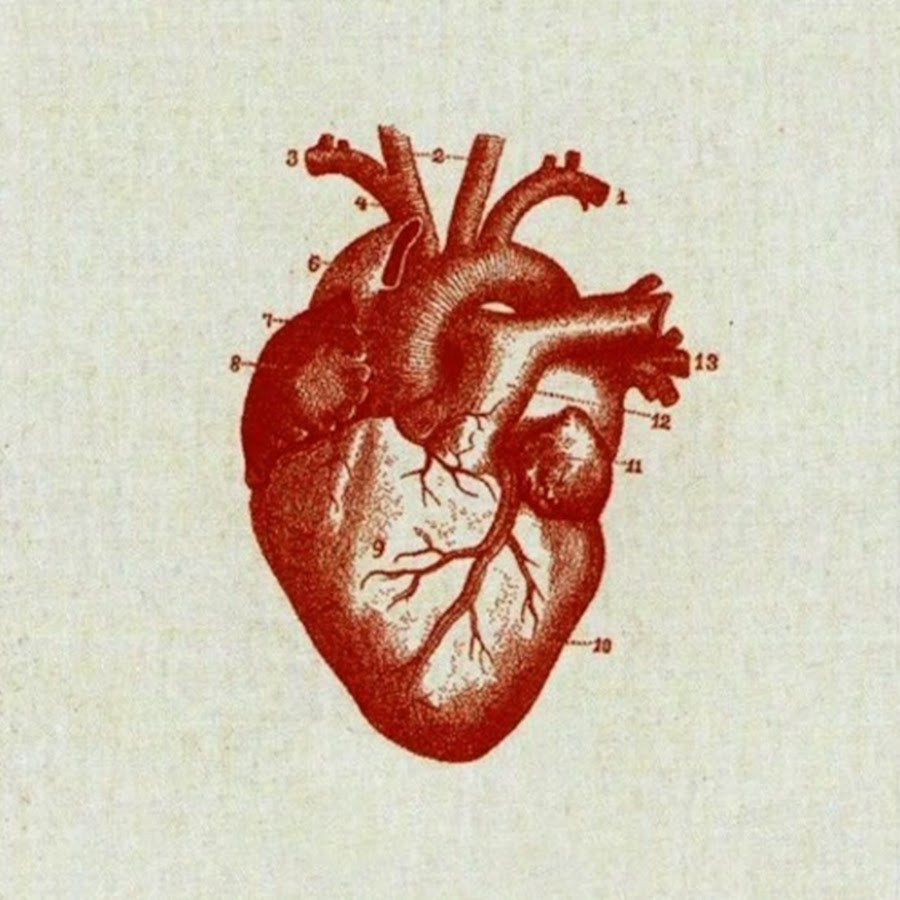 Анатомическое сердце с игральными картами