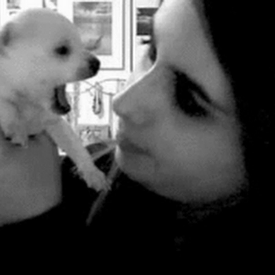 Анимированные хасбик. Кусь за нос. Кусает за нос