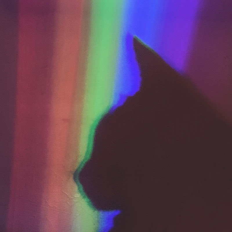 Red pig - 網紅的藏寶箱 