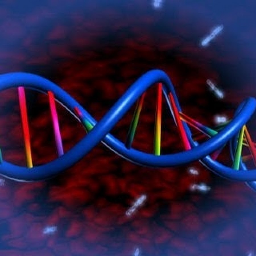 Процесс разрезания молекулы днк. ДНК 3д. ДНК 3д модель. Игра ДНК. Молекула ДНК додекаэдр.