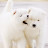김수안