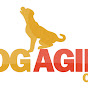 DogAgilityCanada - @DogAgilityCanada YouTube Profile Photo
