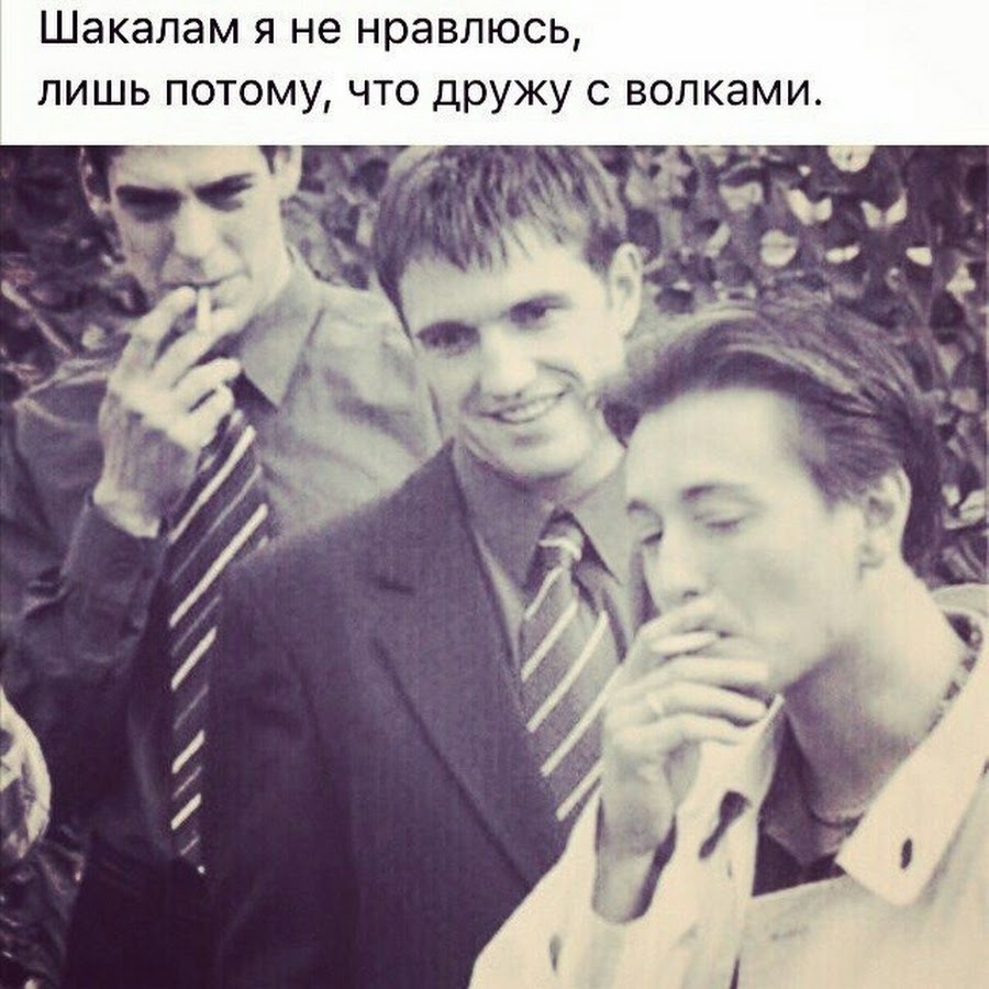 И то лишь потому. И то лишь потому. И то лишь потому. И то лишь потому. Шакалам не место.