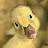Agnus78 Avatar