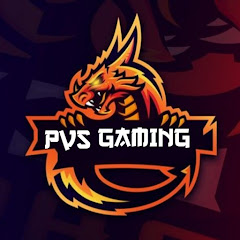 PVS GAMING thumbnail