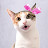 세똘괭이 3cats