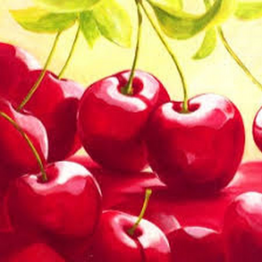 красивые обои на телефон. вишня картина. вишня харитоновская дерево. вишня номер. картина по номерам черешня.