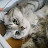 지붕CAT_