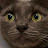 tessalife Avatar