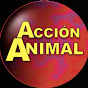 Acción Animal - @cesarguerzoni YouTube Profile Photo