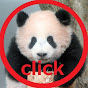 パンダ赤ちゃんチャンネル cute panda videos
