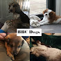 BBCL Dogs YouTube Profile Photo