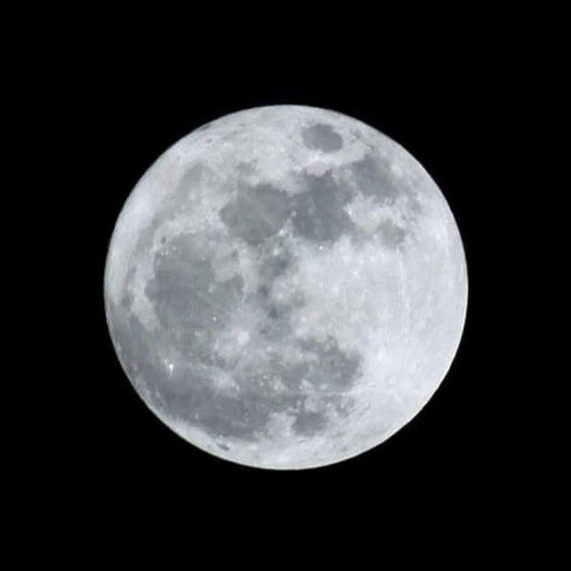 陳卓宏 Dickson Chan - 網紅的藏寶箱 