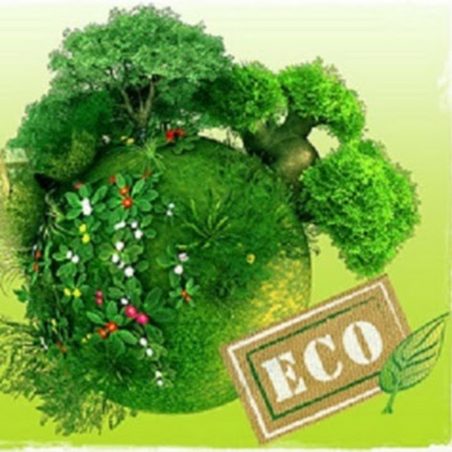 кислород на планете. зелёный наряд земли. зеленая планета. зеленый наряд нашей планеты. зеленая планета.