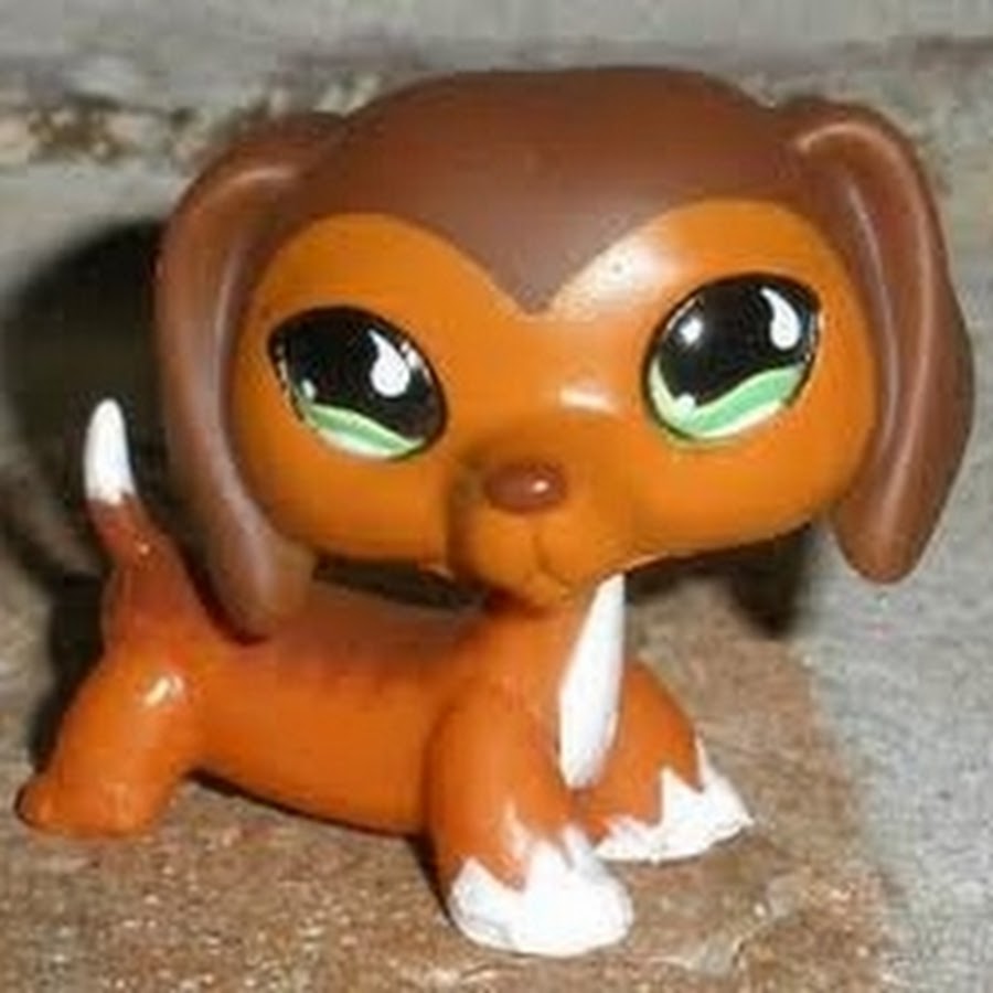 Лпс популяр. Лпс популяр. Лпс популяр имена. Лпс популяр бруклин. Littlest pet shop шарнир.