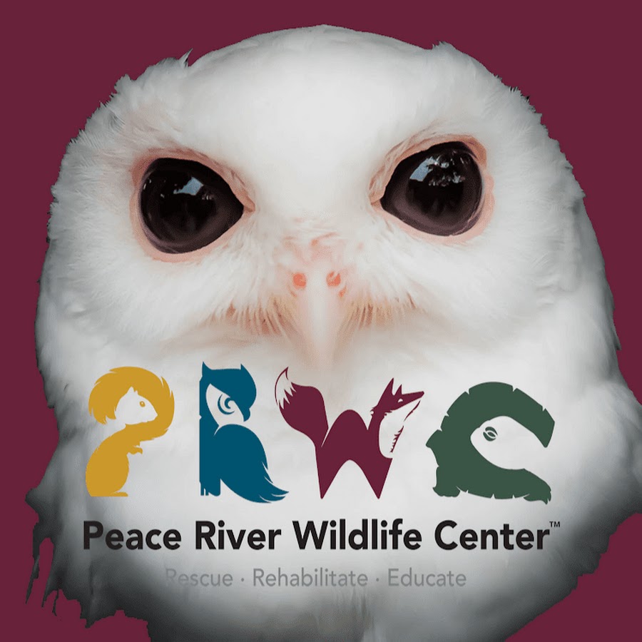 Peace River Wildlife Center Calendar