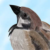 篠呉朱欄 Youtube