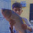 302 muneeb. Muneeb. Avatar