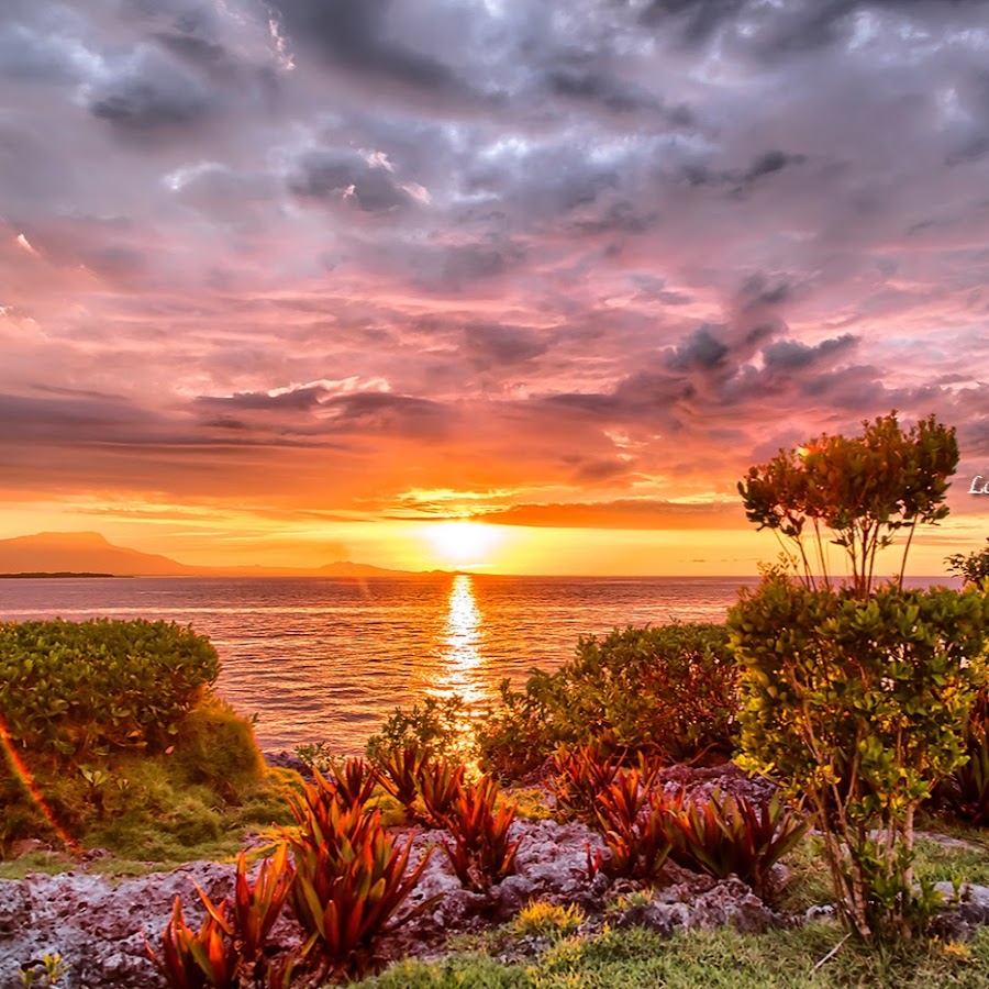 Carlos Amantini 2022 Venezuela 