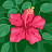 Ebony Mullins Avatar