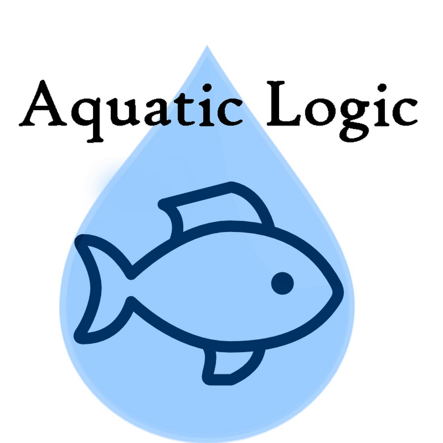 AKedOLRPa9pVxpzdJplc1aGat71o4GDlocSBbUFc0JNQ=s900ckc0x00ffffffnorj