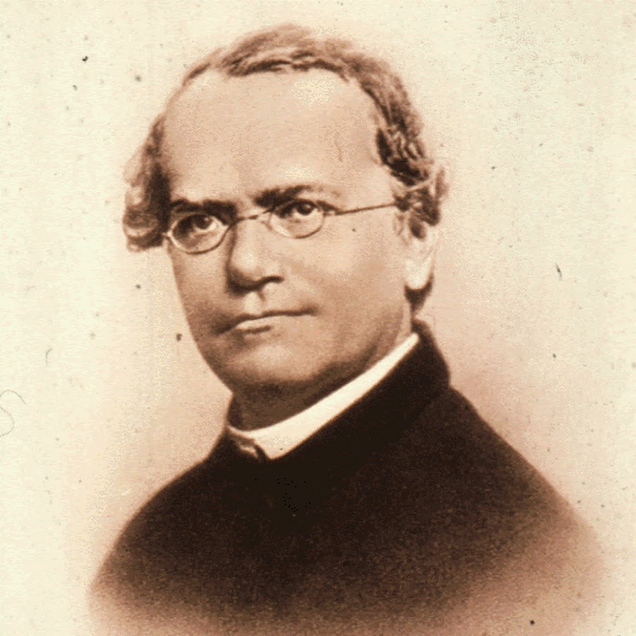 Gregor Mendel - YouTube