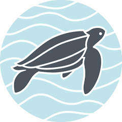 The Leatherback Trust thumbnail