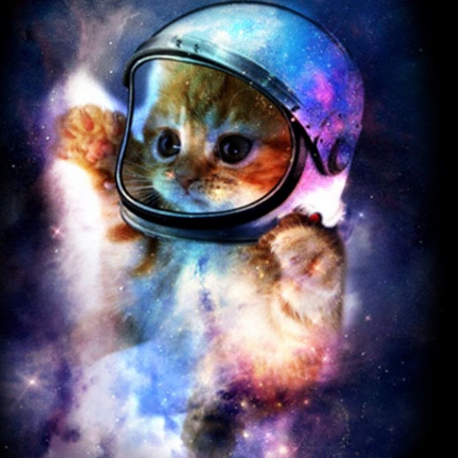 Космический кот