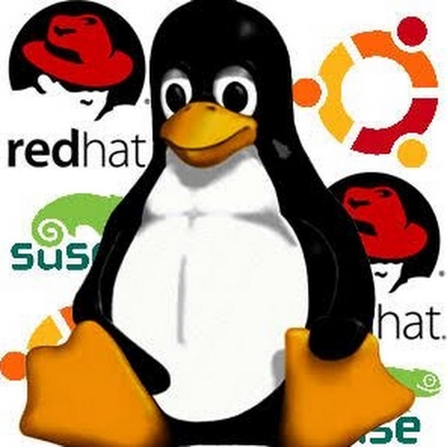 Linux специалист. Linux 1991. Linux будущее. День рождения линукс.