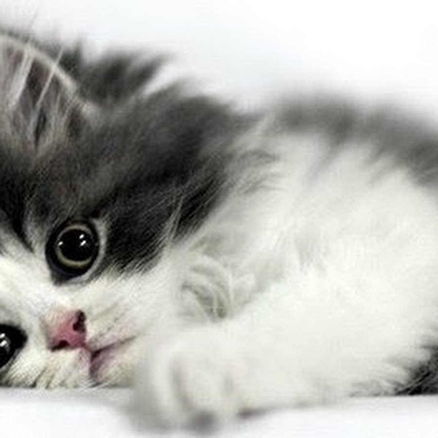 скучает хочу увидеть. я скучаю по тебе картинки. скучает хочу увидеть. скучает хочу увидеть. я тоже очень скучаю.