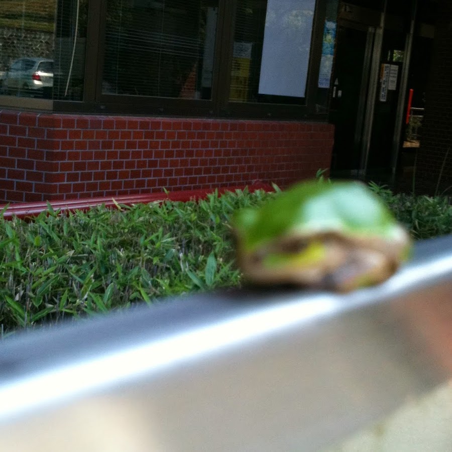 宮沢雪乃 Youtube