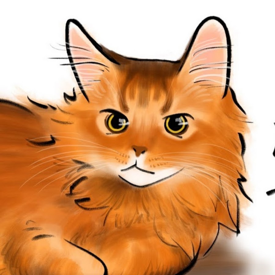 ソマリ ず猫画館 Youtube