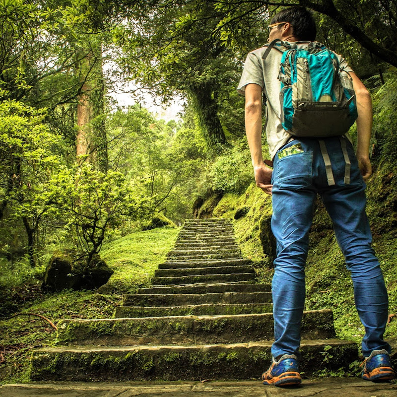 The Walking Backpack - 網紅的藏寶箱 