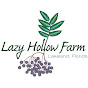 LazyHollowFarm