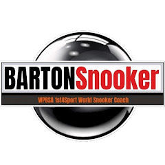 BartonSnooker net worth