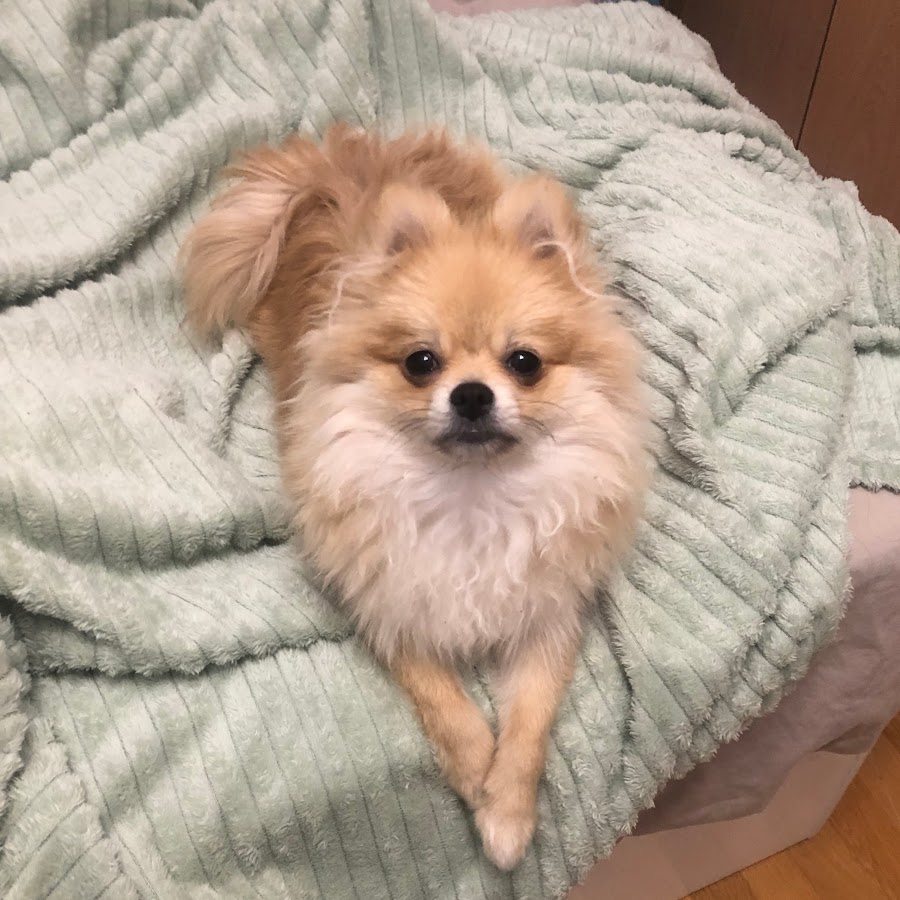 девушка закатила глаза от удовольствия. роберт дауни закатывает глаза. закатывает глаза от большого. закатывает глаза от большого. меган фокс тело дженнифер.