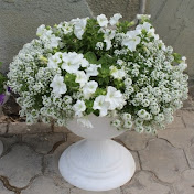 «Рассада в Геленджике»