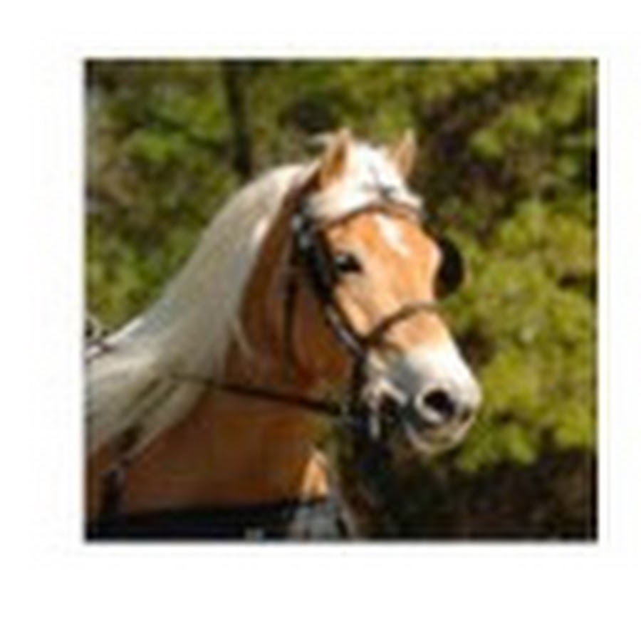 AKedOLRUH8SYDJVJKPhudG_kBTdq_rx1eiJA47ublcvj=s900ckc0x00ffffffnorj