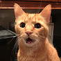 The Cat Masseur YouTube Profile Photo