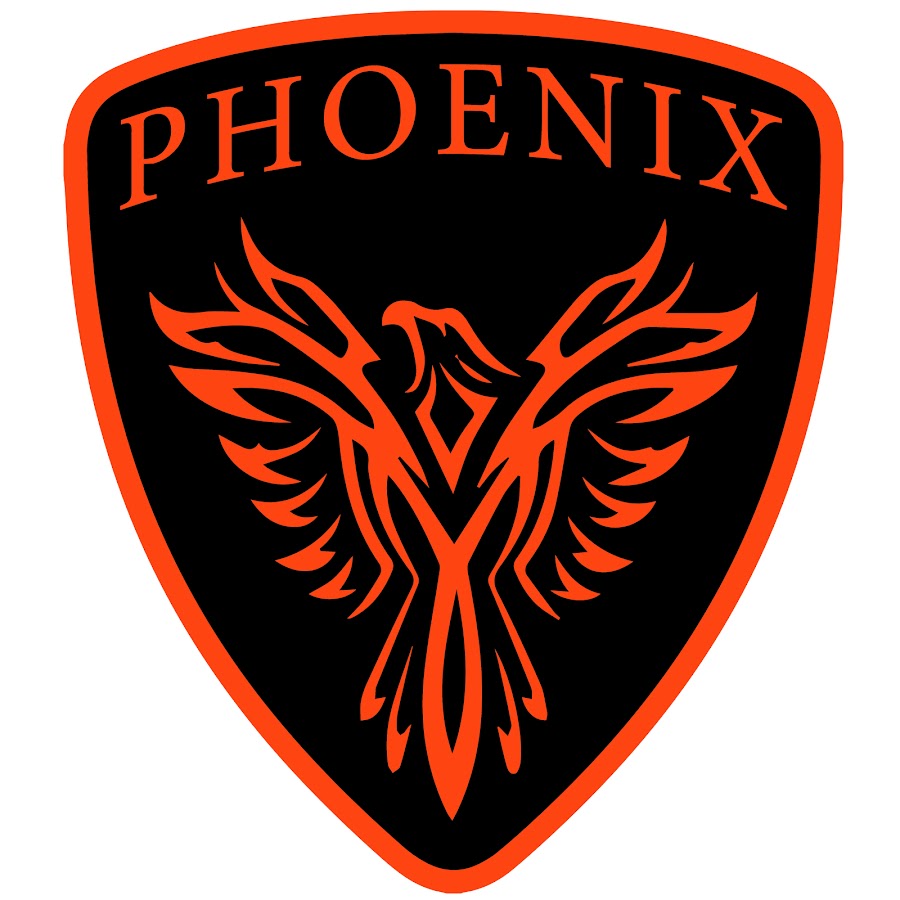 Phoenix world. Торум логотип эмблемы. Emblem logo Modern.