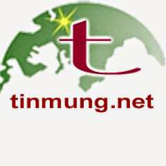 tinmung. net net worth