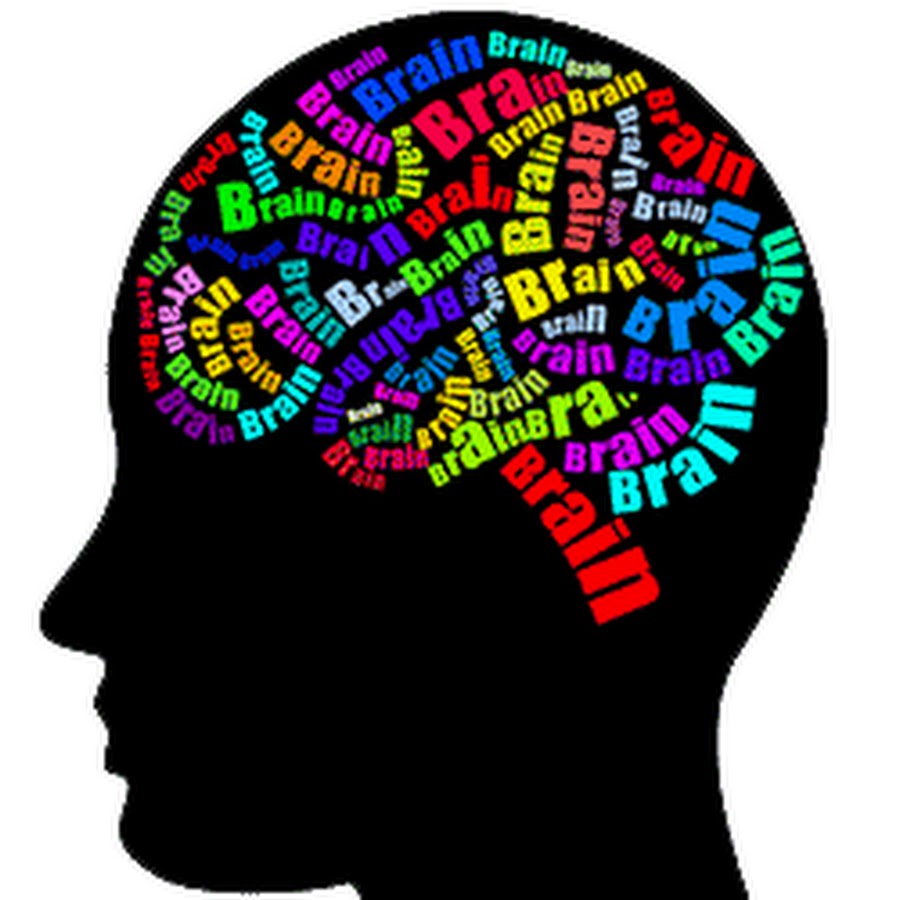 Слово brain. Разноцветный мозг. Слово мозг. Текст про мозг. Голова и мозг силует цветной.