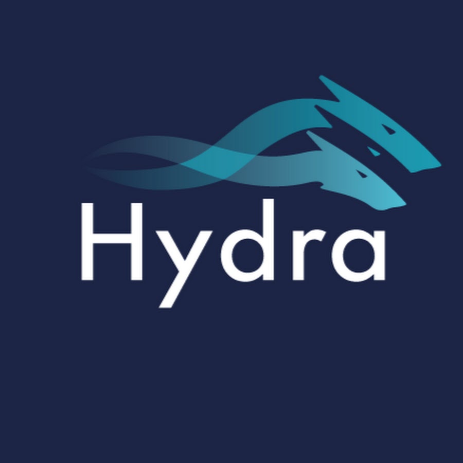 hydra конференция