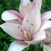 «Ольга и Мама»